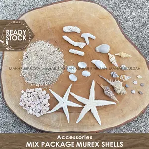 RS Paket Mix Murex Kerang + Pasir Pantai / Sea Shell Sand Beach / Dekorasi Mahar / Hiasan Mahar