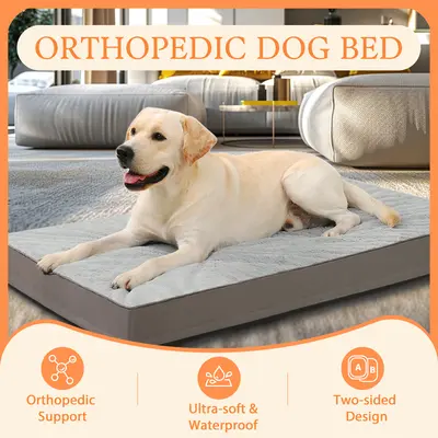 Crisscross orthopedic foam pet bed best sale