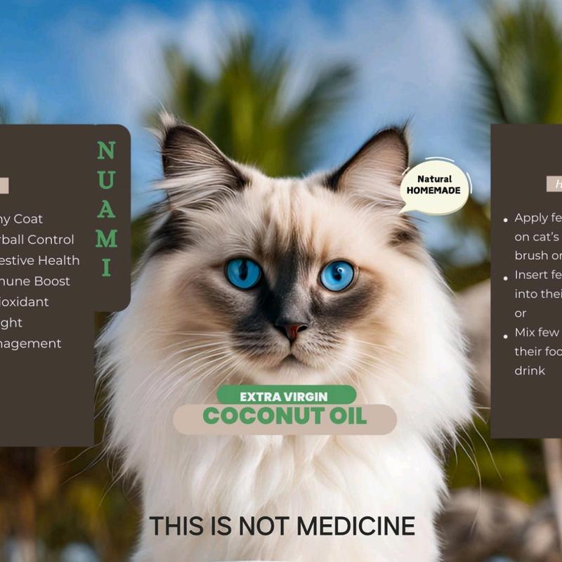 NUAMI Extra Virgin Coconut Oil for Cats - Boost Immune & Shiny - TikTok ...