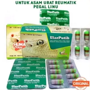 Ular Putih Original Asli 100%