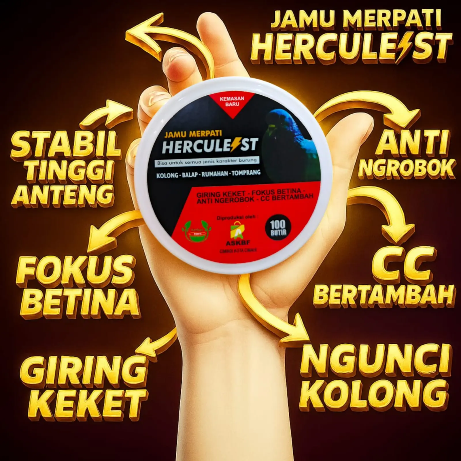 Jamu merpati hercules  lomba jamu hercules  kolong GIRING KEKET TENAGA MAKSIMAL NAFAS PANJANG MERPATI  KOLONG MERPATI BALAP MERPATI KOLONG MEJA MERPATI KOLONG BEBAS