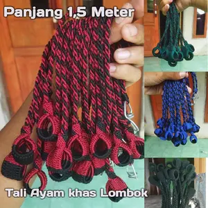Tali Ayam Philipin, Kampung Dan Ayam Hutan Panjang 1,5M