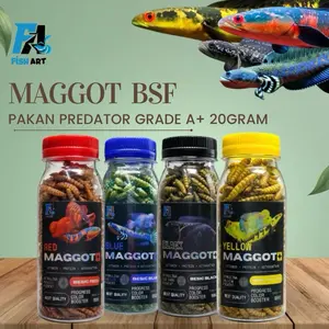 Fish Art • Maggot Kering Grade A++ 20Gram | Pakan Arwana, Channa, Oscar, Predator