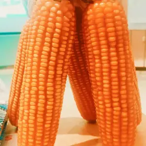 1kg Benih jagung Perkasa NK 6127