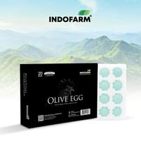Gambar Telur Hijau dari Ayam Hitam (Rendah Kolesterol) - Telur Besar 45g - Telur Hijau dari Ayam Hitam-ORIGINAL dari INDOFARM JAKARTA SELATAN Kota Administrasi Jakarta Selatan 1 Tokopedia