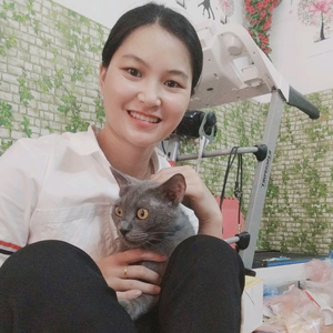 Petshop Thú Cưng 123