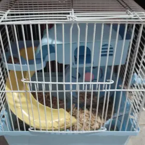 1 Set Kandang Hamster Keranjang Hamster Sugar Glider Marmut kandang  hamster