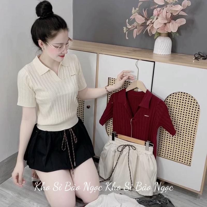 [A1] Áo Len cổ Bẻ Hàng QC Co Giản Nhiều Màu Kho Sỉ Bảo Ngọc