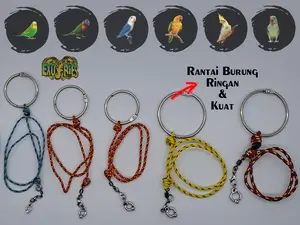 Rantai Falk Rantai Cockateil Rantai Conure Rantai Burung Paruh Bengkok Rantai Parrot Rantai Nuri