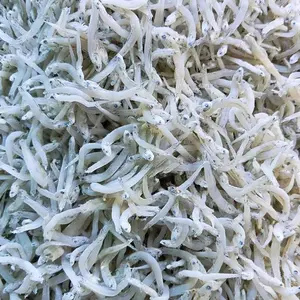 TERI NASI TOUGE MEDAN SUPER BESAR KERING ALAMI