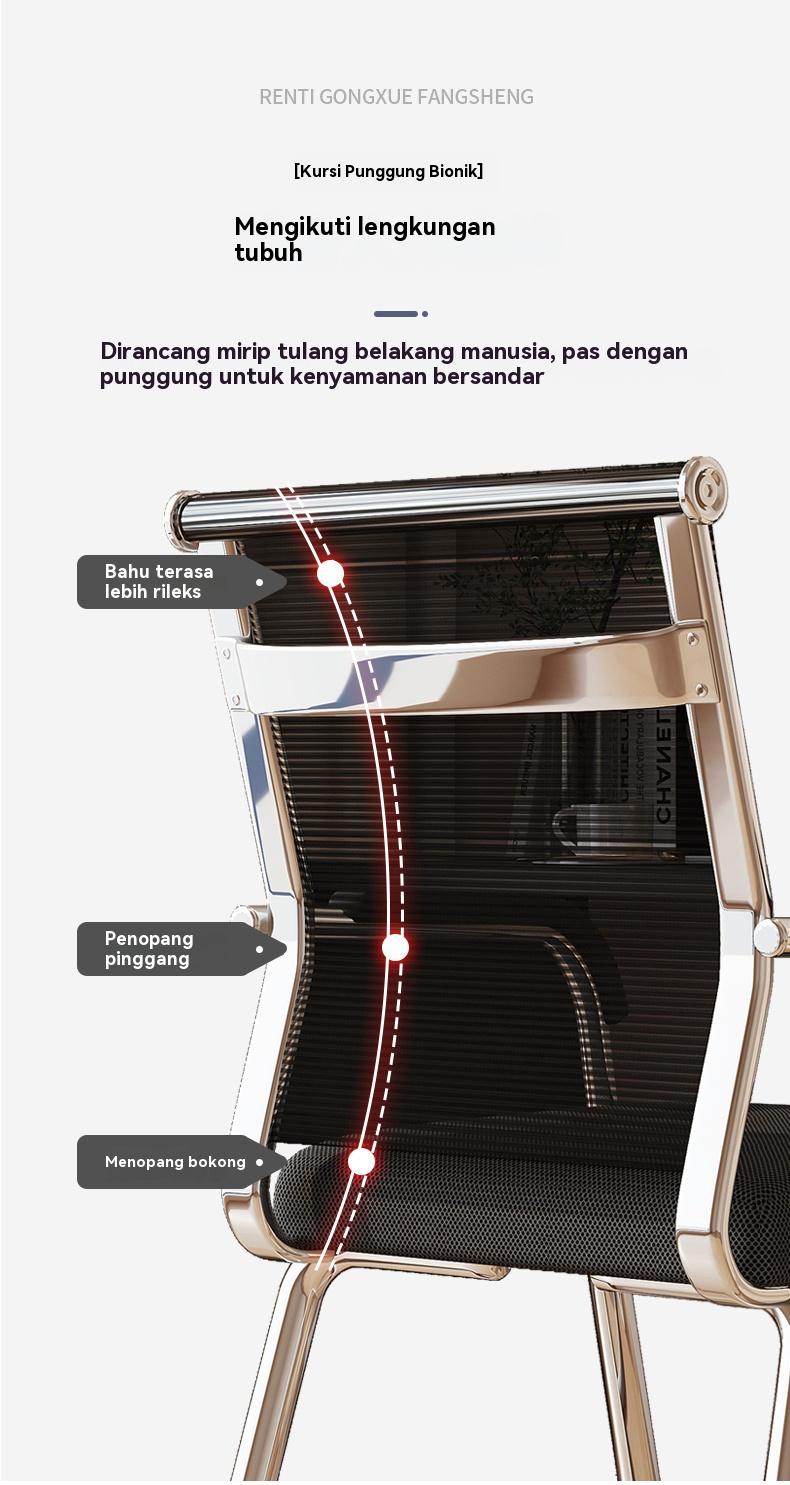 Kursi Kantor Nyaman Dipakai Lama Kursi Komputer Duduk Melengkung Kursi Ruang Rapat Karyawan Kursi Belajar Asrama Mahasiswa Meja Belajar Kursi Rumah dengan Sandaran