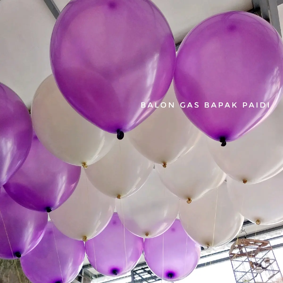 BALON GAS HELIUM / BALON FOIL / BALON KARAKTER / BALON ULANG TAHUN
