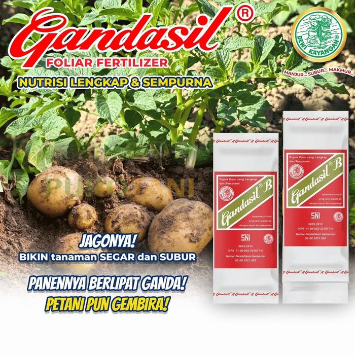 Gambar Pupuk Buah Bunga Gandasil B 100 gr 500 gr Pemacu Tanaman Berbuah Kalium dari PUROTANI.ID Kab. Purworejo Tokopedia