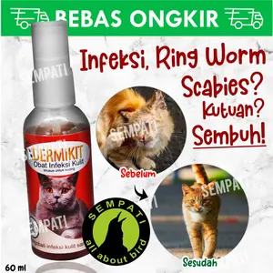 Dermikit obat infeksi kulit kucing cat kitten anti gatal jamur luka