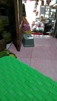 Product Review of Jaket Anak Perempuan KUROMI Varsity Model dengan Kancing Pengencang, Cocok untuk Musim Semua - 2-12 Tahun - Fashion, Pakaian from s**v 0