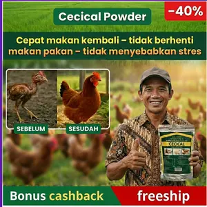 Cecical Powder 1kg untuk ayam – membantu ayam cepat mau makan kembali, tidak mogok pakan, tidak menyebabkan shock – membuat ayam lebih sehat, mengurangi stres, dan meningkatkan daya tahan tubuh