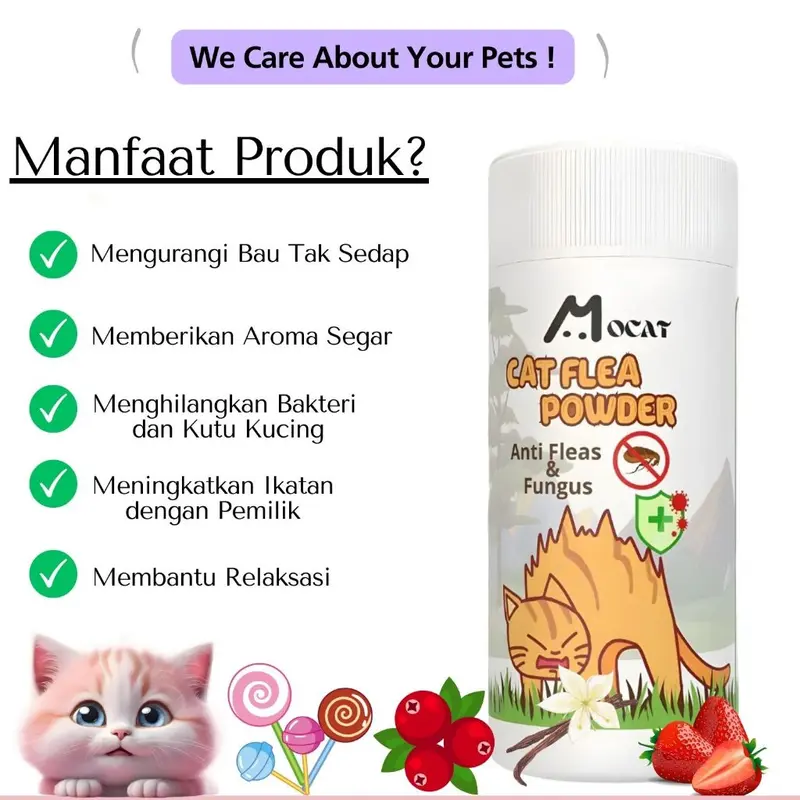 Bedak Kucing Mocat Powder Anti Kutu Kitten Kelinci Wangi Ampuh Hilangkan Gatal Akibat Lice Jamur Tungau DELLO FOR CAT 4