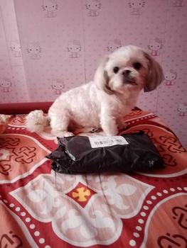 Product Review of Pet Dress Floral Pattern Pleated Hemming Windproof Pet Vest Puppy Flying Sleeve Clothes for Spring from b**1 2