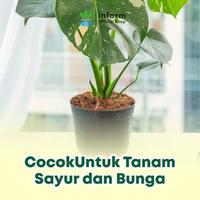 Gambar INFARM - Pot Tanaman Bunga Plastik Hitam Diameter 20 cm Netpot Bahan Plastik Kuat Tahan Banting Tidak Mudah Pecah Pot Menanam Sayur Berkualitas dan Ringan Premium Tahan Panas dan Hujan Cocok untuk Semua Jenis Tumbuhan - Warna dari Infarm Kota Surabaya 4 Tokopedia