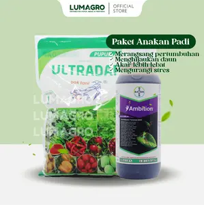 Lumagro Paket Anakan Padi Ultradap 1kg dan Ambition 500ml Pupuk Asam Amino