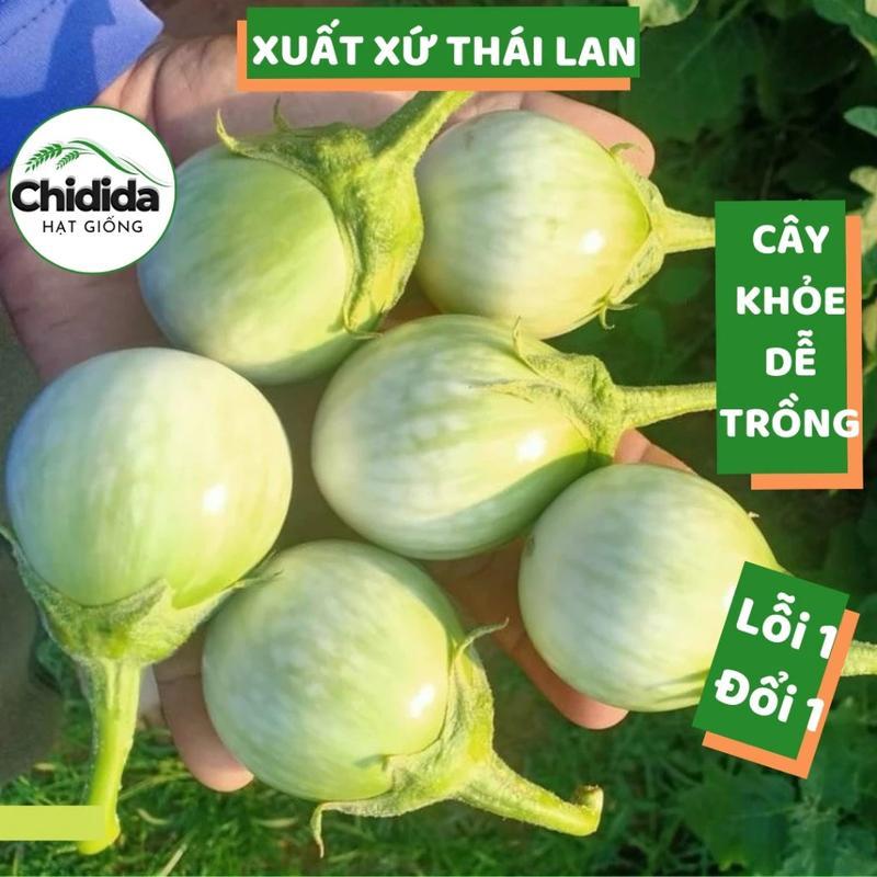 [THUẦN CHỦNG F1 100 hạt] Hạt giống cà ngọt Thái Lan giòn ngọt sai trái, dễ trồng, năng suất cao, trồng quanh năm - Tỉ lệ nảy mầm
