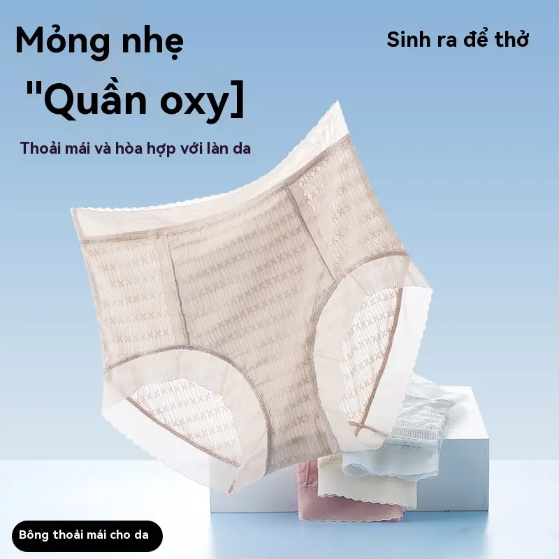 Quần Lót Vải Tuyn Sang Trọng, Nhẹ, Bó Eo, Thêu Thủ Công, Thoáng Khí, Thoải Mái, Làm Bằng Lụa 0