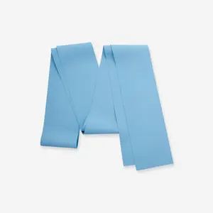 Decathlon DOMYOS Resistance Band Elastis Pilates 2 kg Biru - 8978182