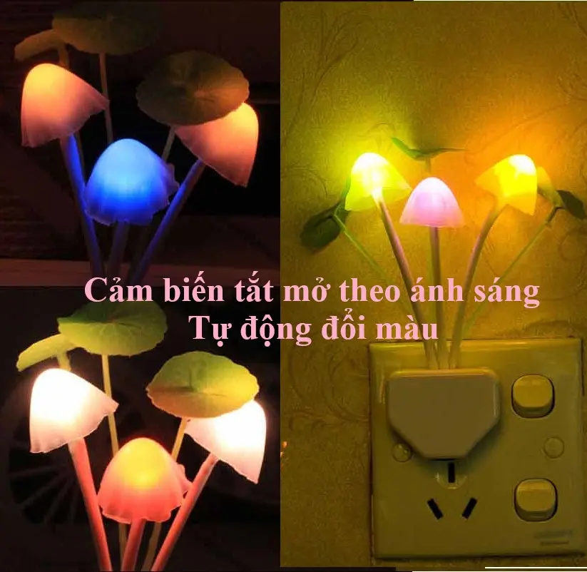 Combo 3 đèn ngủ cảm ứng thông minh hình nấm. ledkhaian