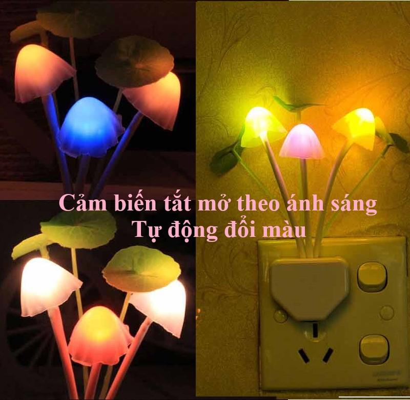  Combo 3 đèn ngủ cảm ứng thông minh hình nấm. ledkhaian 