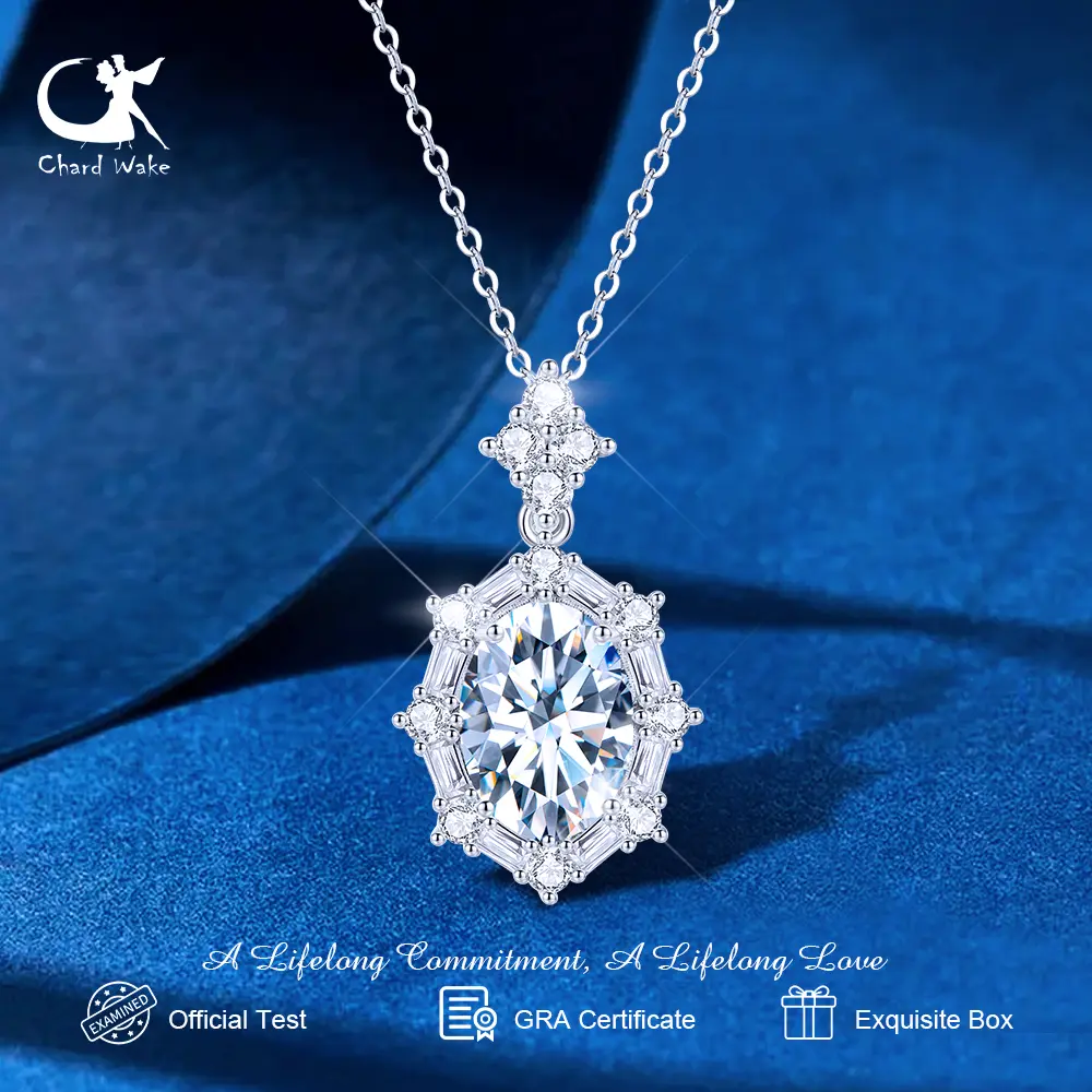 【003Harga telah dibanting, segera di CO】Chard Wake Kalung Wanita Zircon Mewah Berlian Pelapisan Platinum Luxury Elegan Kalung Cewek CWN047-Silver