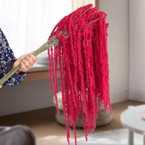 Juntai amarantus woll Panjang home décor, bunga Panjang bahan woll lembut warna warni indah