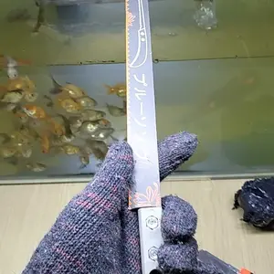 GERGAJI JEPANG LANCIP / GERGAJI MANUAL WOODWORKING NEW KAYU POHON DAN PERKEBUNAN KUAT TAJAM