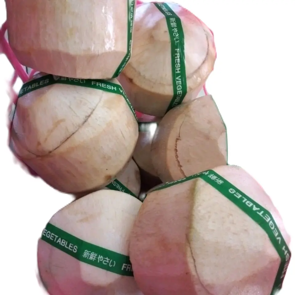 Degan jelly minuman menyegsrkan