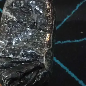 Aki Motor GTZ5S Honda Absolute Revo Fit Aki Kering Accu Kering MF GTZ5S 12V 5Ah