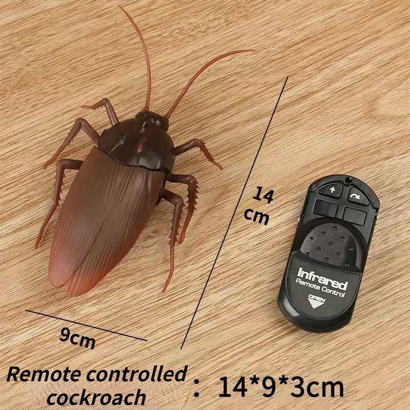 Toy Insect Cockroach Remote control toy, remote control cockroach toy, Xiaoqiang simulation ...