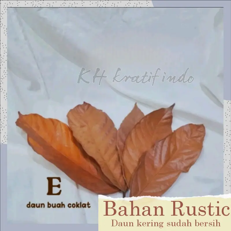 Bahan prakarya kerajinan dan kesenian / Rustic Daun kering bersih / seni keindahan / keterampilan / rustic kesenian yang indah / bahan dasar daun kering Hiasan 5