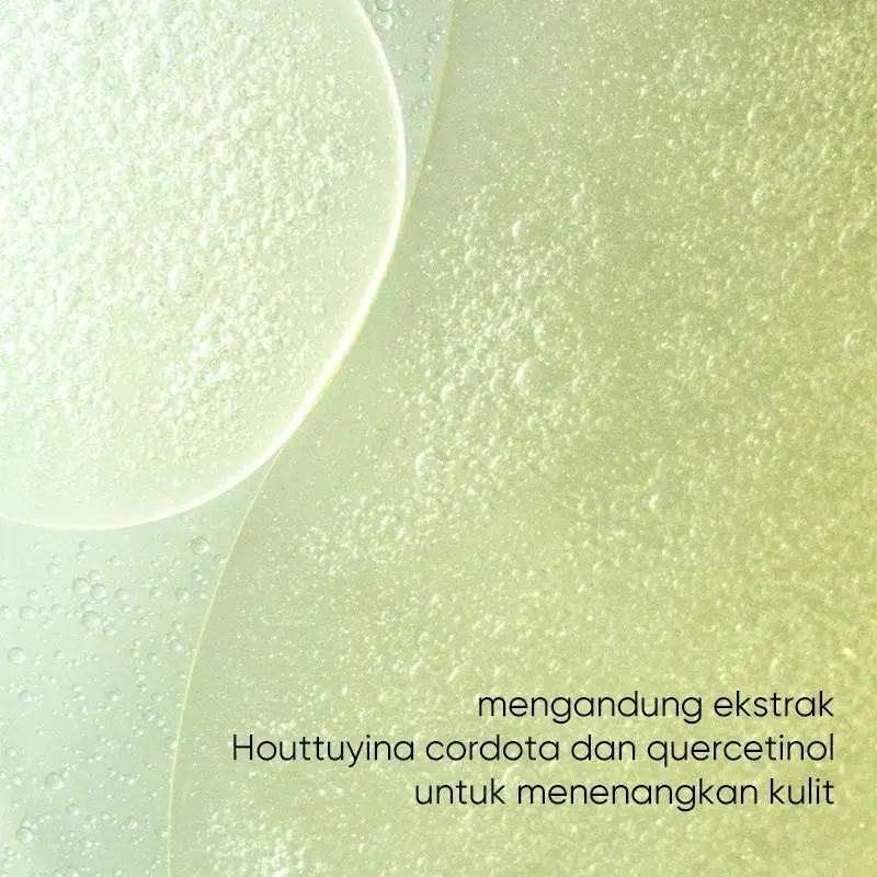 【BPOM】nua Cleansing Foam 150ML /Anua Heartleaf Quercetinol Pore Deep Cleansing Foam 7