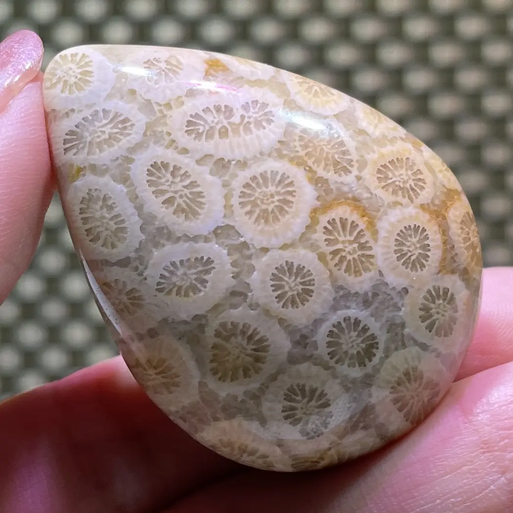 Awesome Teardrop Coral Jasper Pendant