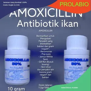 prolabio amoxicilln antibiotik ikan obat ikan 10 gram