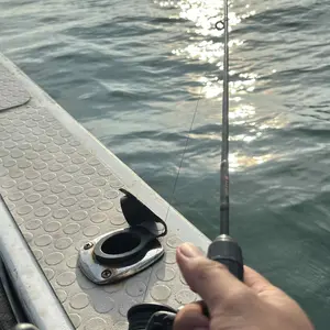 Penjernih Air Aquarium Akuarium Aquascape Kolam PURIFIER Aman Untuk Ikan - 1 Liter obat  penjernih Penjernih Air