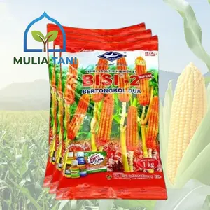 TOP 1  Benih Jagung BISI 2  Hibrida Cap KAPAL TERBANG TERLARIS ORIGINAL ( EXP 08-08-2027 )