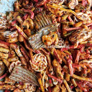SEBLAK VIRAL/MIX SEBLAK CAMPURAN/MIX VIRAL RENYAH Food Makanan Pedas Kering