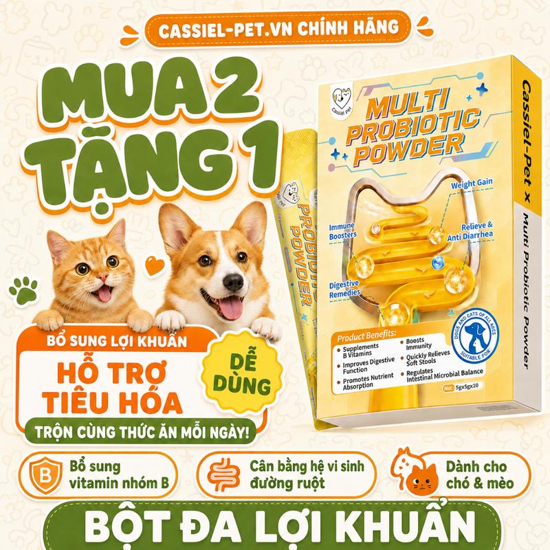 Cassiel Pet Men Vi Sinh Cho Chó Mèo Cao Cấp | Hỗ Trợ Tiêu Hóa, Cân Bằng Hệ Vi…