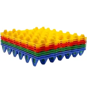 Mercury Eggtray Plastik 6pcs Untuk Wadah Telur ayam Kitchenware Telur Biru Merah Hijau muat 30 Butir telur