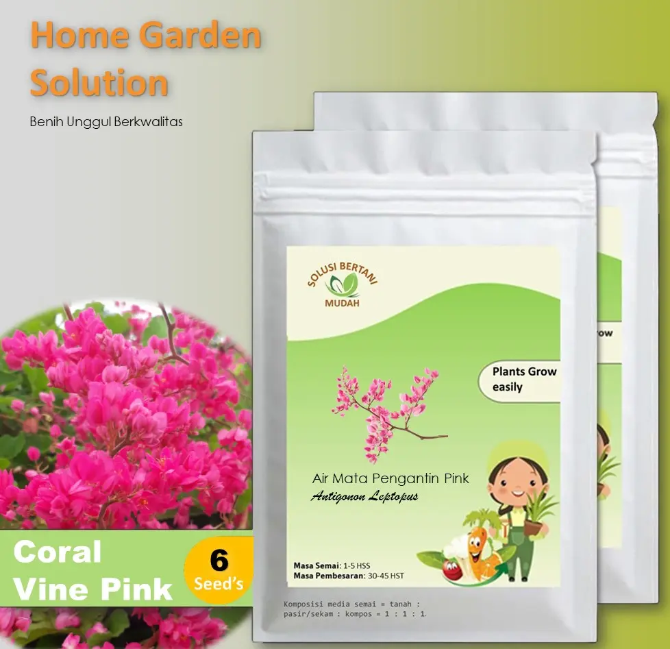 6 Bibit Benih Bunga Air Mata Pengantin Coral Vine Pink Antigonon Leptopus