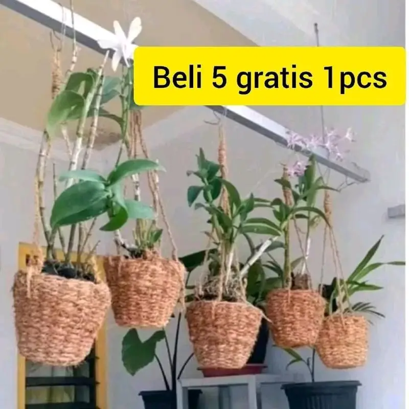 Paket Bundling Beli 5 Gratis 1pcs Tanaman Hias Pot Gantung Anyaman Natural untuk Dekorasi Rumah
