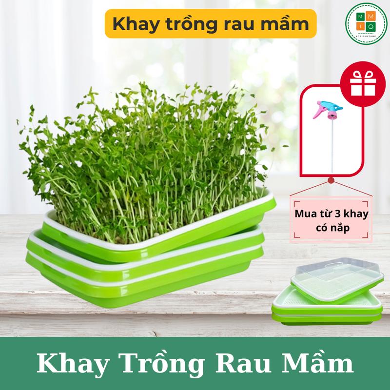  Combo 3 - Khay trồng rau mầm có nắp đậy  Loại 1 - bền dẻo không mùi làm từ nhựa nguyên sinh  