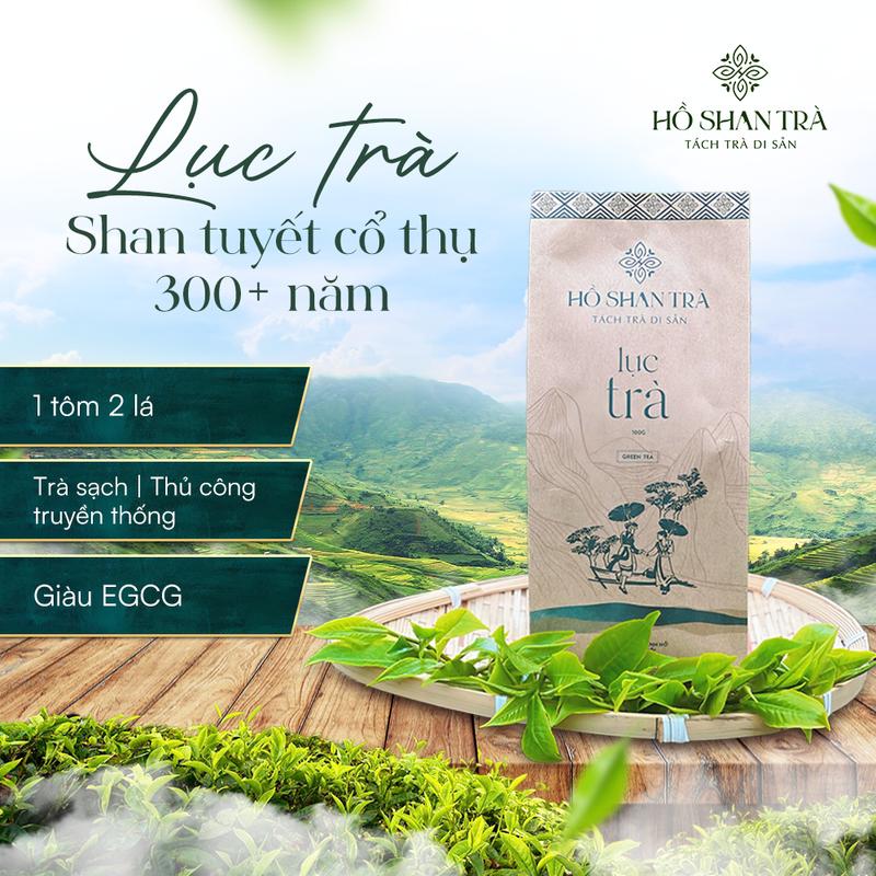 Lục Trà Shan Tuyết 300 năm Phình Hồ Yên Bái 100G Trà Cổ Thụ Nước Trà Chè