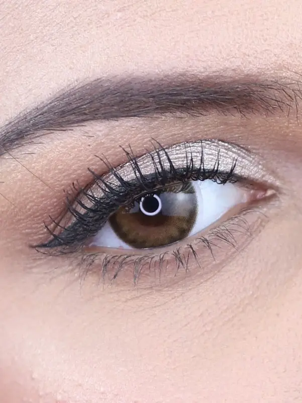 SOFTLENS COMFY CHIC BROWN / LENSA KONTAK 1