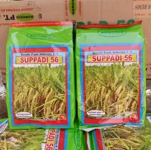 Suppadi Bibit Padi Unggul Suppadi 56 Kemasan 1 Kg Benih Padi Hibrida F-1 Original 100% Potensi Hasilpanen Tinggi 8,4-11,5 Ton GKG per Ha